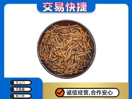 吉安井冈山市回收散虫草